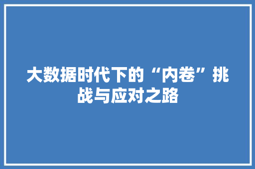 大数据时代下的“内卷”挑战与应对之路 电脑配置