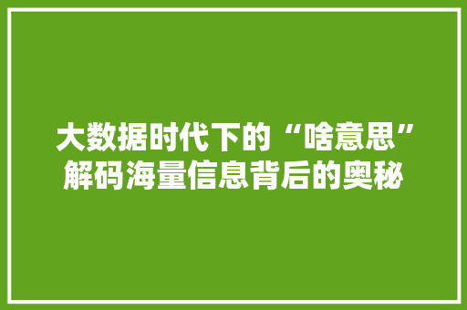 大数据时代下的“啥意思”解码海量信息背后的奥秘