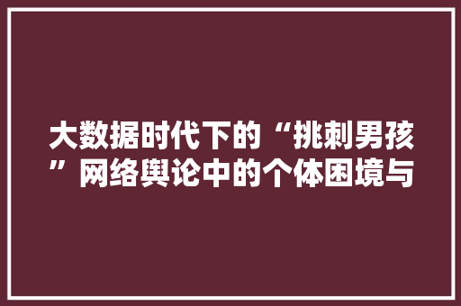 大数据时代下的“挑刺男孩”网络舆论中的个体困境与反思