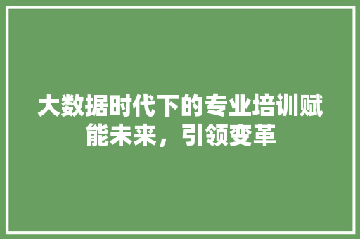 大数据时代下的专业培训赋能未来，引领变革