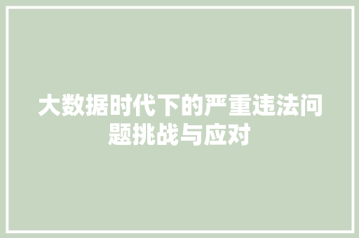 大数据时代下的严重违法问题挑战与应对
