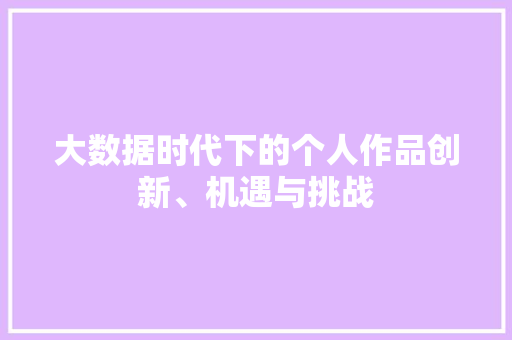 大数据时代下的个人作品创新、机遇与挑战
