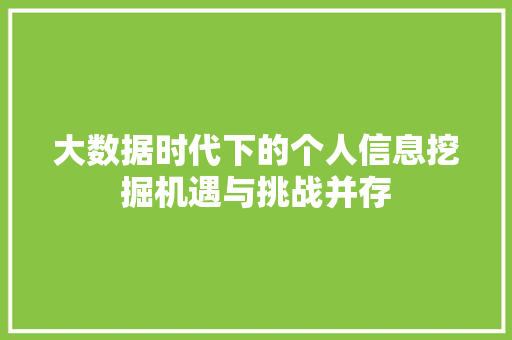 大数据时代下的个人信息挖掘机遇与挑战并存
