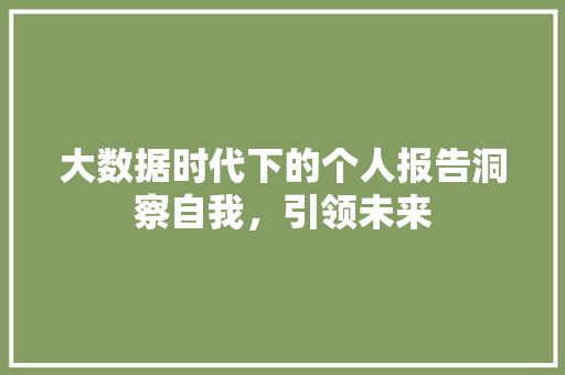 大数据时代下的个人报告洞察自我,引领未来 网络技术 大数据时代下的个人报告洞察自我,引领未来 网络技术