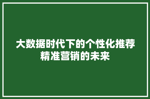 大数据时代下的个性化推荐精准营销的未来