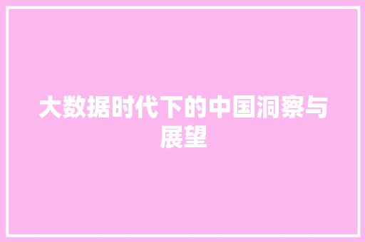 大数据时代下的中国洞察与展望