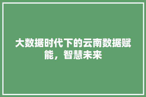 大数据时代下的云南数据赋能，智慧未来