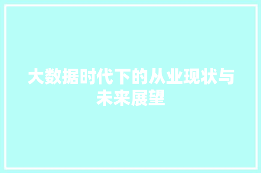 大数据时代下的从业现状与未来展望 编程语言