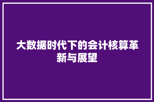 大数据时代下的会计核算革新与展望 操作系统