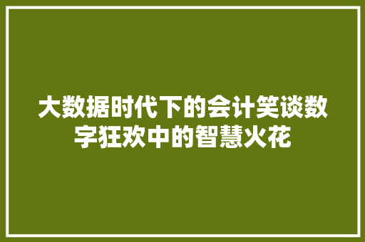 大数据时代下的会计笑谈数字狂欢中的智慧火花