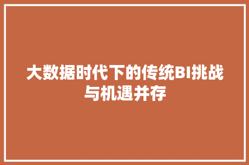大数据时代下的传统BI挑战与机遇并存