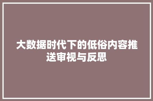 大数据时代下的低俗内容推送审视与反思