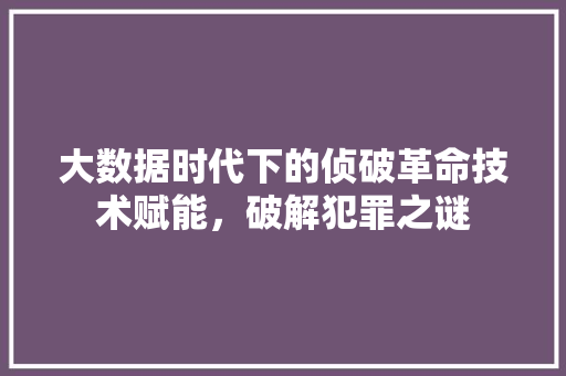 大数据时代下的侦破革命技术赋能，破解犯罪之谜