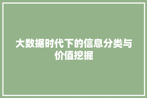 大数据时代下的信息分类与价值挖掘