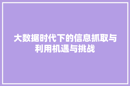 大数据时代下的信息抓取与利用机遇与挑战
