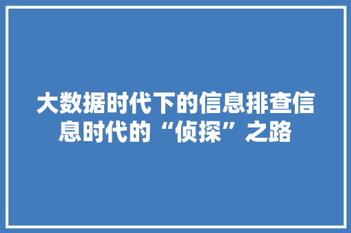 大数据时代下的信息排查信息时代的“侦探”之路