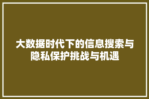 大数据时代下的信息搜索与隐私保护挑战与机遇
