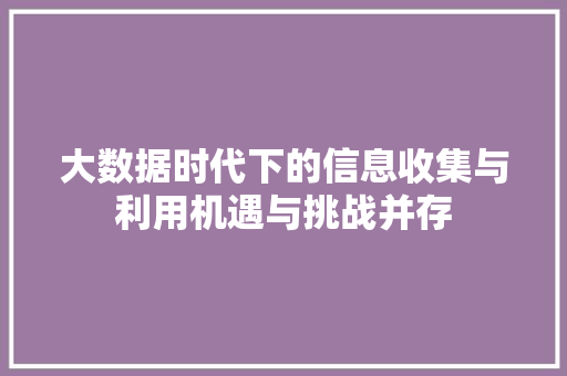 大数据时代下的信息收集与利用机遇与挑战并存