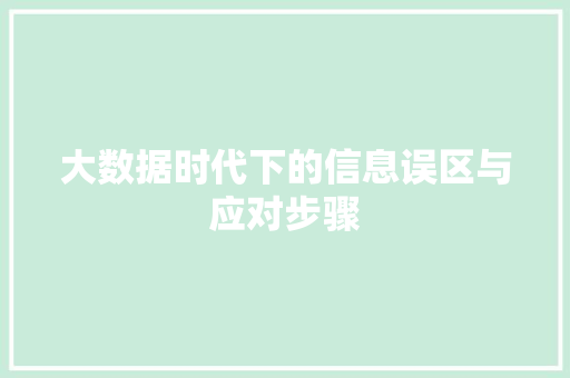 大数据时代下的信息误区与应对步骤