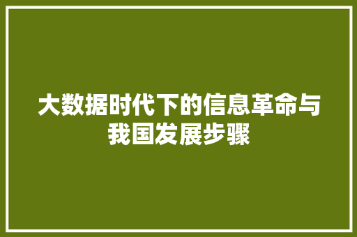 大数据时代下的信息革命与我国发展步骤 电脑故障维修