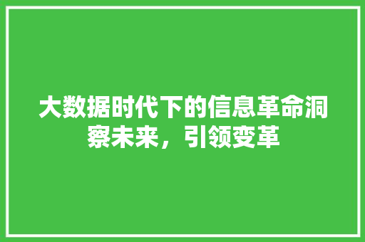 大数据时代下的信息革命洞察未来，引领变革