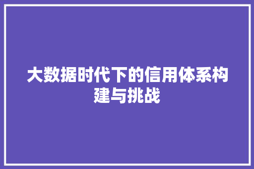 大数据时代下的信用体系构建与挑战