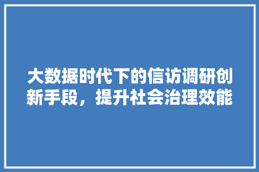 大数据时代下的信访调研创新手段,提升社会治理效能 大数据时代下的信访调研创新手段,提升社会治理效能