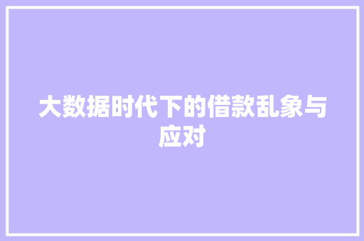 大数据时代下的借款乱象与应对 大数据时代下的借款乱象与应对