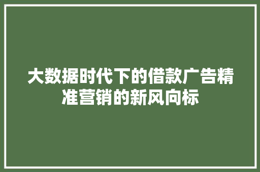 大数据时代下的借款广告精准营销的新风向标 大数据时代下的借款广告精准营销的新风向标