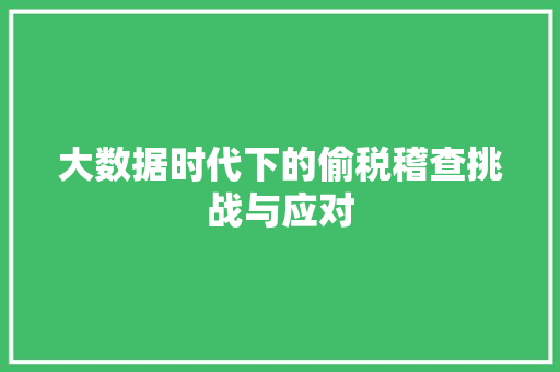 大数据时代下的偷税稽查挑战与应对 大数据时代下的偷税稽查挑战与应对