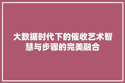 大数据时代下的催收艺术智慧与步骤的完美融合