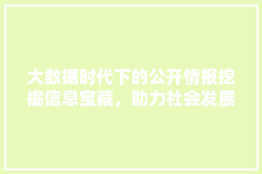 大数据时代下的公开情报挖掘信息宝藏，助力社会发展