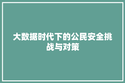 大数据时代下的公民安全挑战与对策