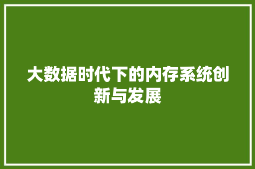 大数据时代下的内存系统创新与发展