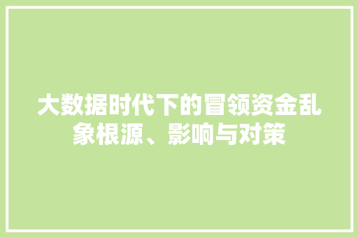 大数据时代下的冒领资金乱象根源、影响与对策