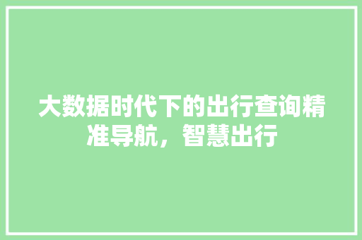 大数据时代下的出行查询精准导航，智慧出行