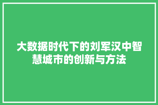 大数据时代下的刘军汉中智慧城市的创新与方法
