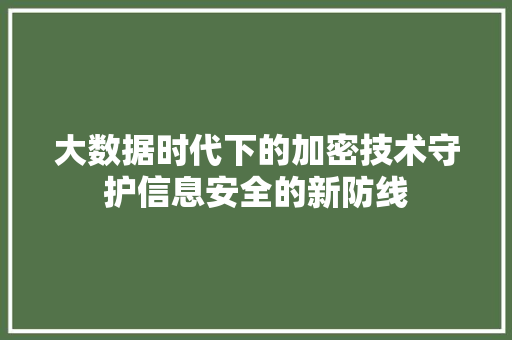 大数据时代下的加密技术守护信息安全的新防线 电脑配置
