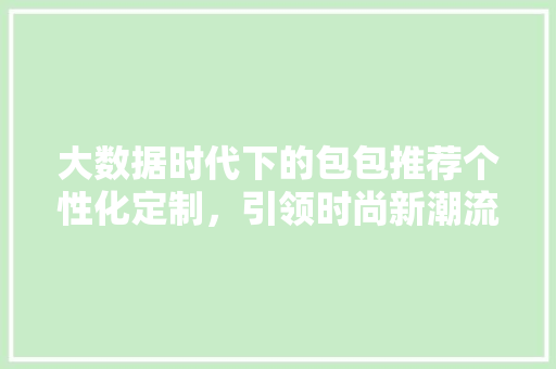 大数据时代下的包包推荐个性化定制，引领时尚新潮流 电脑配置