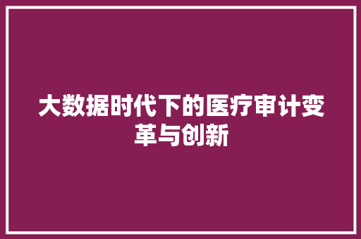大数据时代下的医疗审计变革与创新 操作系统 大数据时代下的医疗审计变革与创新 操作系统