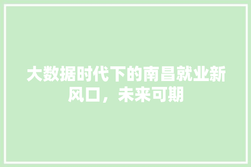 大数据时代下的南昌就业新风口，未来可期