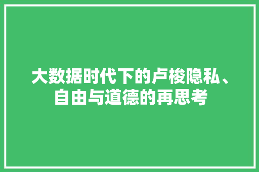大数据时代下的卢梭隐私、自由与道德的再思考