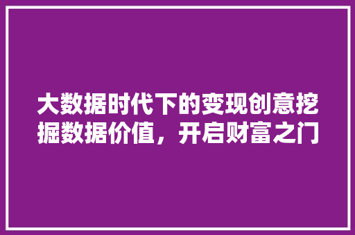 大数据时代下的变现创意挖掘数据价值，开启财富之门