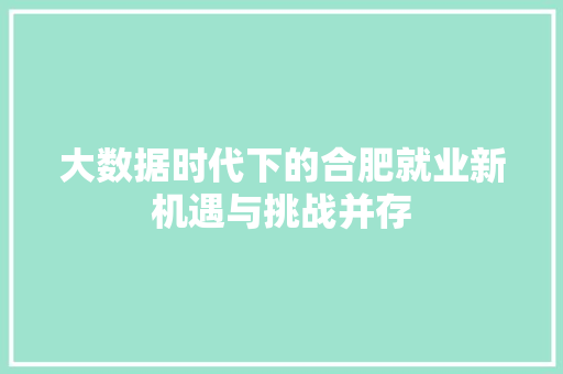 大数据时代下的合肥就业新机遇与挑战并存