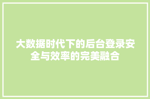 大数据时代下的后台登录安全与效率的完美融合
