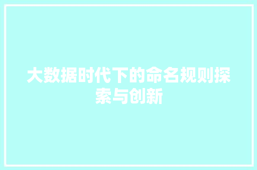 大数据时代下的命名规则探索与创新