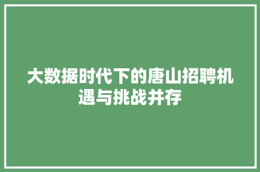 大数据时代下的唐山招聘机遇与挑战并存