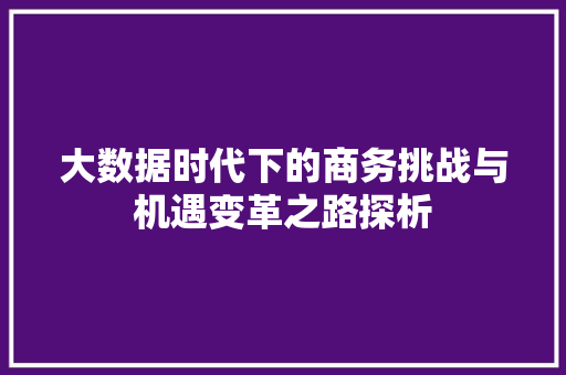 大数据时代下的商务挑战与机遇变革之路探析