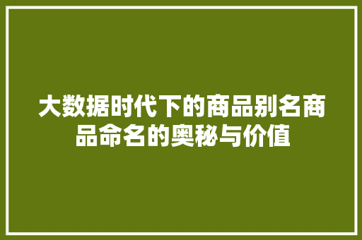 大数据时代下的商品别名商品命名的奥秘与价值 大数据时代下的商品别名商品命名的奥秘与价值