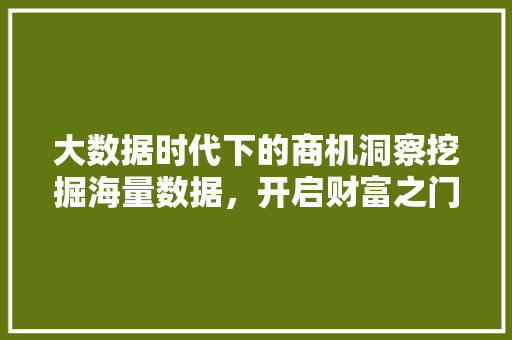 大数据时代下的商机洞察挖掘海量数据，开启财富之门